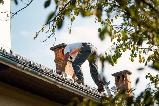 Roof Insulation Installation in Erlanger, KY