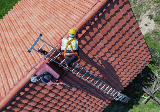 Roof Moss and Algae Removal in Erlanger, KY